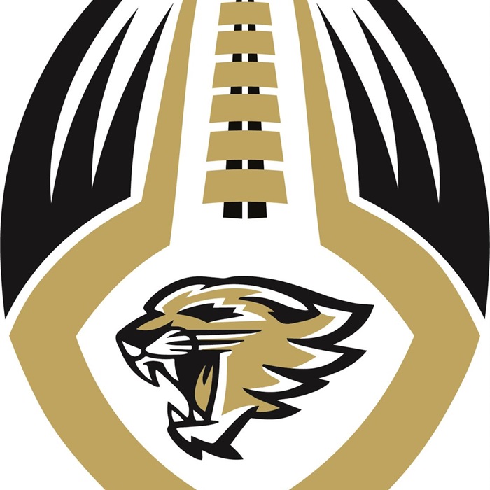 Meigs Wildcat football.